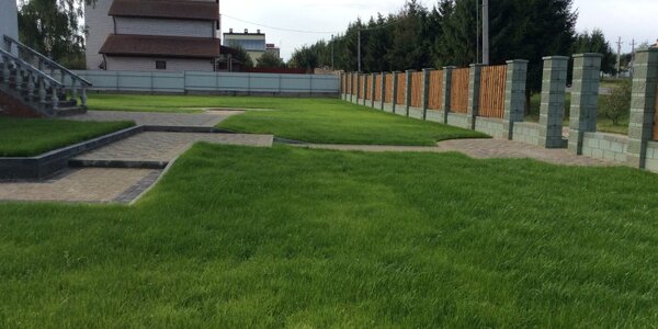 На этом месте когда-то был старый заброшеный сад.