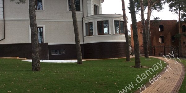 1)Задний двор участка в д . Зацень с  высокими соснами.