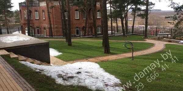 4)Участок ранней весной.Нужно выгребать хвойную иглицу.